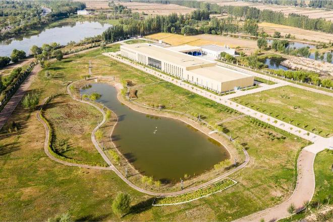 19创始人杨陵江最新回应来了！新葡京娱乐